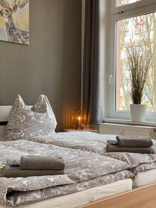 Akk4 - Apartment Md Zentrum Naehe Uni Und Hbf Magdeburg Eksteriør billede